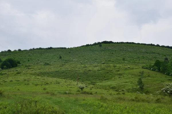 Vista Paisagem Floresta Verde Céu Azul Nas Montanhas — Fotografia de Stock