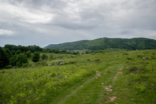 stock image Landscape view of the green forest and blue sky in the mountains