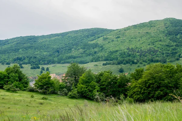 Krajina Pohled Zelený Les Modré Nebe Horách — Stock fotografie