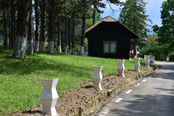 Casa Madeira Uma Floresta Pinheiros Nas Montanhas Cárpatas Representando Museu — Fotografia de Stock