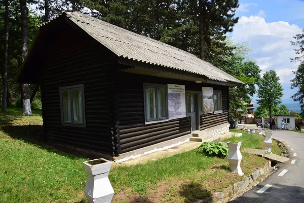 Drewniany Dom Sosnowym Lesie Karpatach Reprezentujący Muzeum Dobrita Pneumofthisiology Hospital — Zdjęcie stockowe