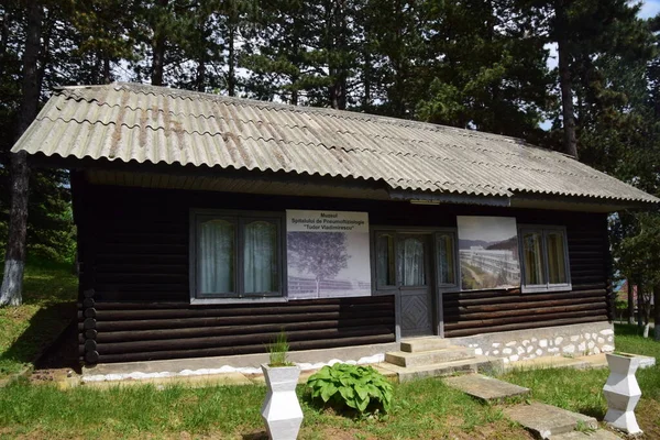 Rumah Kayu Hutan Pinus Pegunungan Carpathian Mewakili Museum Rumah Sakit — Stok Foto