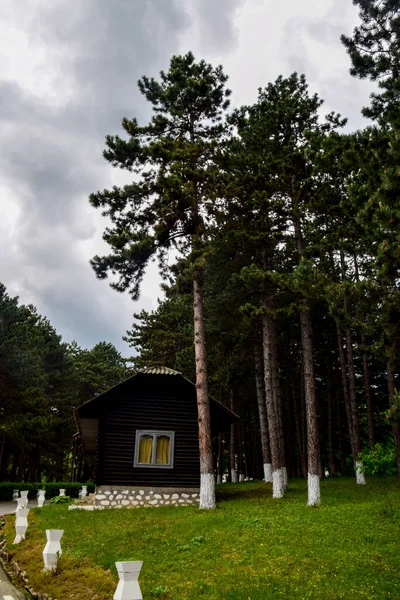 Дерев Яний Будинок Сосновому Лісі Карпатських Гір Представляє Музей Пневмофільної — стокове фото