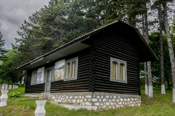 Dřevěný Dům Borovém Lese Karpatech Představující Muzeum Pneumoftiziologické Nemocnice Dobrita — Stock fotografie