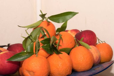 Portakal portakalın meyvesidir, mandalinayla aradan geçen bir hibrit meyve ağacı. Kabuk ve çekirdek turuncu renktedir, çekirdek soyulur ve çiğ yenir veya meyve suyu için sıkılır.
