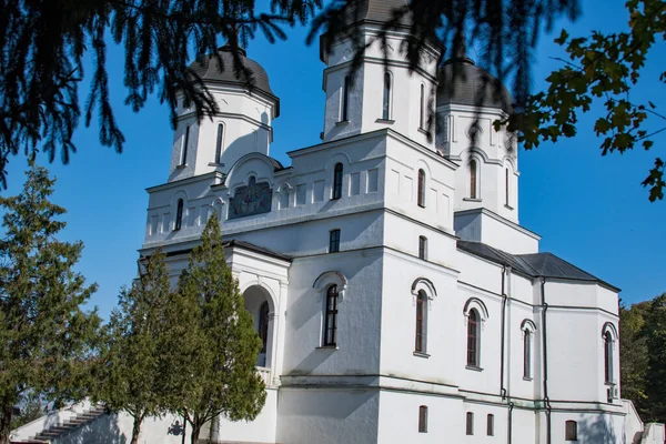 Dobrogea Nın Kuzeyinde Yer Alan Celiç Dere Manastırı Meryem Ana — Stok fotoğraf