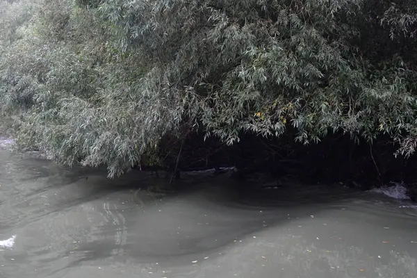 Danube Delta Wet Plain Regional Relief Type Fluvial Deposits Located — Stock Photo, Image