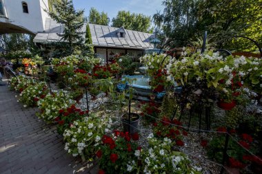 Dumbrava Manastırı 'nda, kutsal şehit Dimitrie Myrrh Springer' a adanmıştır. Cennetin bir köşesi. Ortodoksan Hıristiyanlık. Dumbrava Manastırı 'nda büyük şehit Dimitrie Myrrrrh Springer, OrtodoksHıristiyan Ortodokslar' ın bir köşesidir.