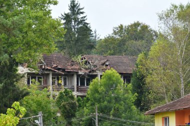 Ormanda çatılı bir ev.