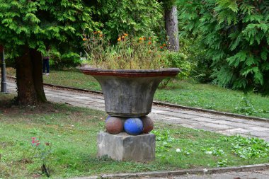 Romanya 'nın Govora kentinde halka açık bir parkta çiçekli vazo
