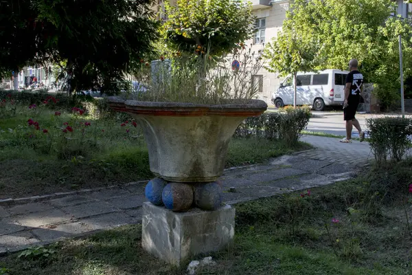 Romanya 'nın Govora kentinde halka açık bir parkta çiçekli vazo