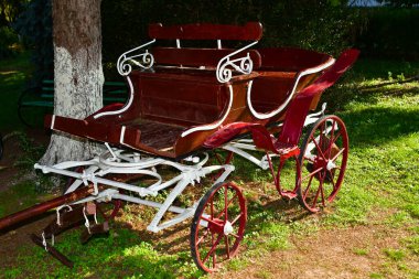 Güneşli bir yaz sabahında parkta at arabası