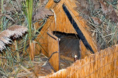 Bahçedeki yeşil çimlerin üzerinde ahşap bir ev.
