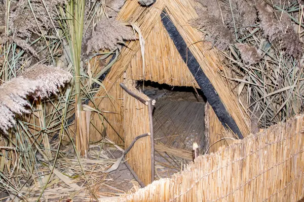 Tahtadan yapılmış bir ev.