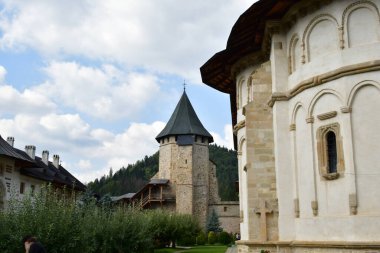 Eski ortaçağ şatosu Transilvanya