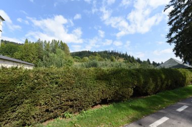 Güzel kilise binasının manzarası.