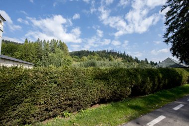 İsviçre 'de bir köyde yeşil bir ev