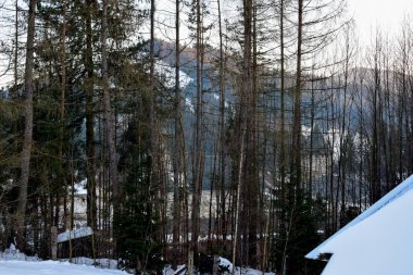 Kışın karlı dağların güzel bir görüntüsü.