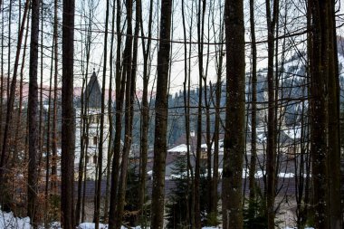 Ağaçların karla kaplı olduğu güzel bir kış ormanı. Kış manzarası.