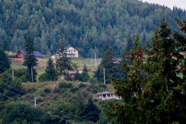 Avusturya 'daki Alpler' de güzel bir dağ köyü.