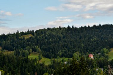 Karpatlar 'daki dağların manzarası