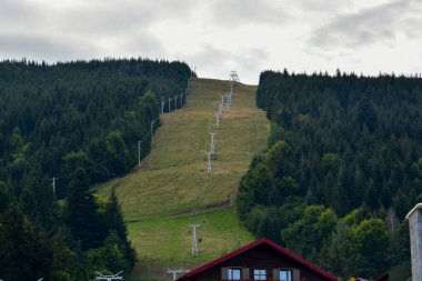 Kayak Merkezi ormandaki