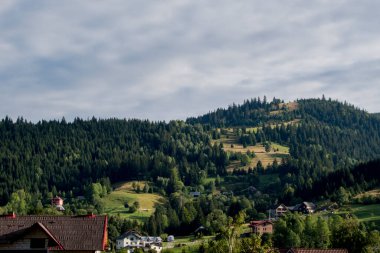 Karpatlar için güzel bir dağ manzarası.