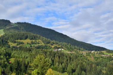 Karpatlar'ın dağ manzarası