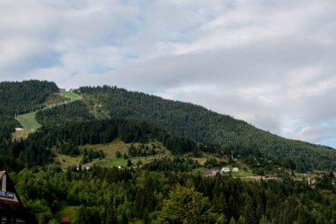 Arkasında orman olan güzel bir dağ manzarası.