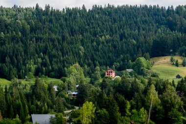 Karpat Dağları, Bukogi köyü manzarası