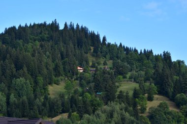 Tepenin tepesinden bak.