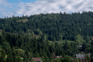 Mavi gökyüzü ile yeşil dağ ormanı