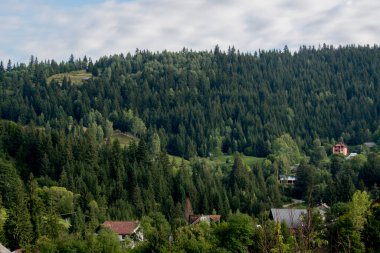 Karpatlar 'daki köy. ukraine
