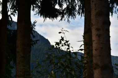 Dağların güzel manzarası