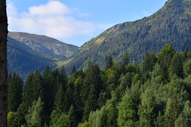Karpatların dağlarına ve ormanlarına bakın.