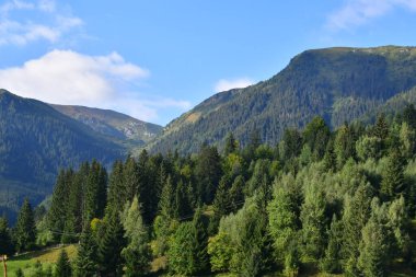 Vadinin yeşil dağlarının manzarası