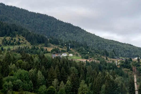 mountain forest with houses and forest on the slopes of the carpathian mountains