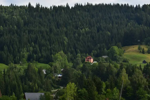 Karpat Dağları manzarası, Yaremche Köyü, Ukrayna