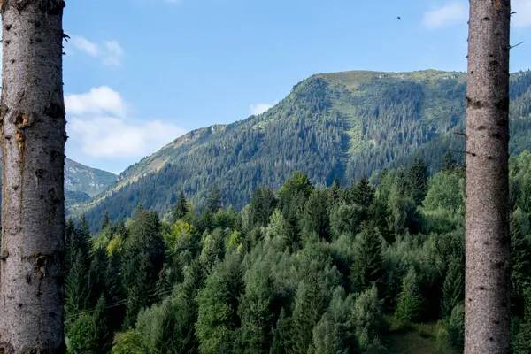 Dağ sırasının görüntüsü