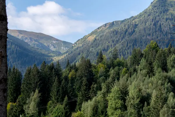 Güzel dağ manzarası. doğa arkaplanı