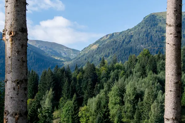 Ukrayna Karpatlar 'ında dağ zirveleri.