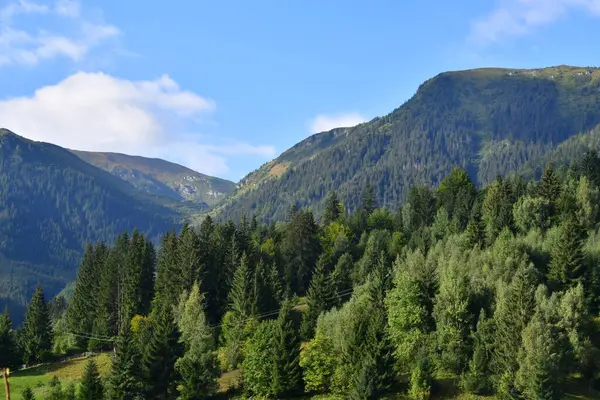Vadinin yeşil dağlarının manzarası