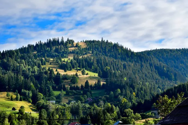 Ormandaki Karpat Dağlarının güzel manzarası