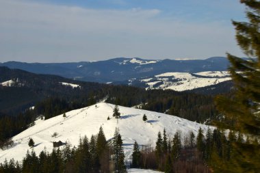 Kar ve karla kaplı ağaçlarla kaplı kış manzarası.