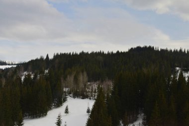 Karla kaplı ağaçlarla kaplı kış manzarası