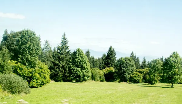 Doğanın güzel manzarası