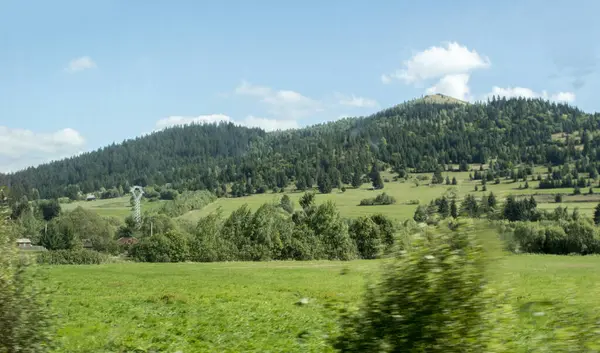 Yeşil bir tarlası olan güzel bir manzara ve mavi gökyüzünün arka planında ağaçlar ve beyaz bulutlar..