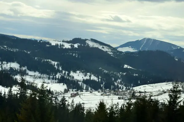 Karla kaplı ağaçlarla kaplı güzel kış manzarası