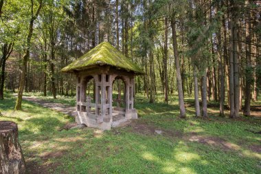 Ormandaki eski ahşap kilise