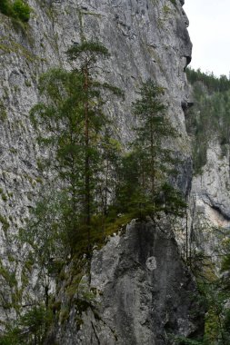 Kayalık bir dağın dikey görüntüsü.